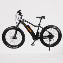 fat tire e-bike special made 250 watt electric bike bicycle